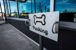 Corporate Event Photographer Dallas