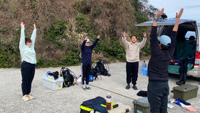 まじな珍客現れる!連休二日目