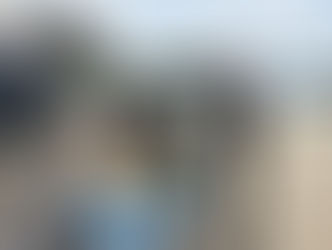 こんな浅場にレアモノが!