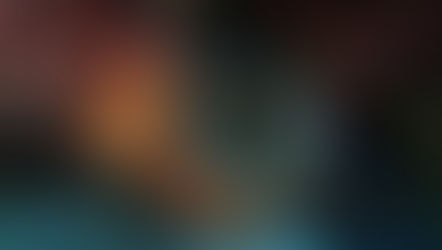 また今日も珍客フィーバー!連休最終日の海