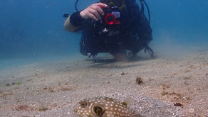 長い年月を経て海の変化を感じました
