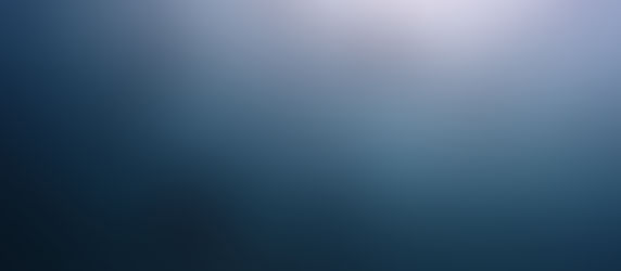 魚わっさわさ!だった平日の海!