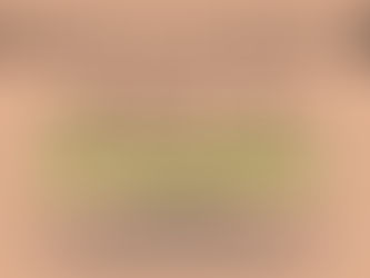 Bugetvriendelijke hotels in Amsterdam