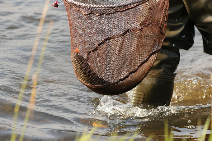 Gadloch Fishing (3).JPG