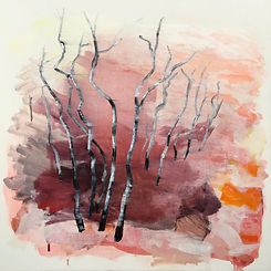 ‘Trees to the river 2’