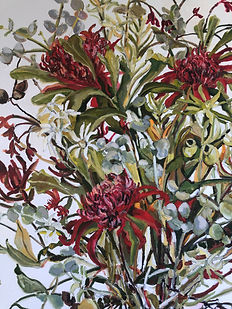 detail spring waratah and midden shells in Hobart.JPG