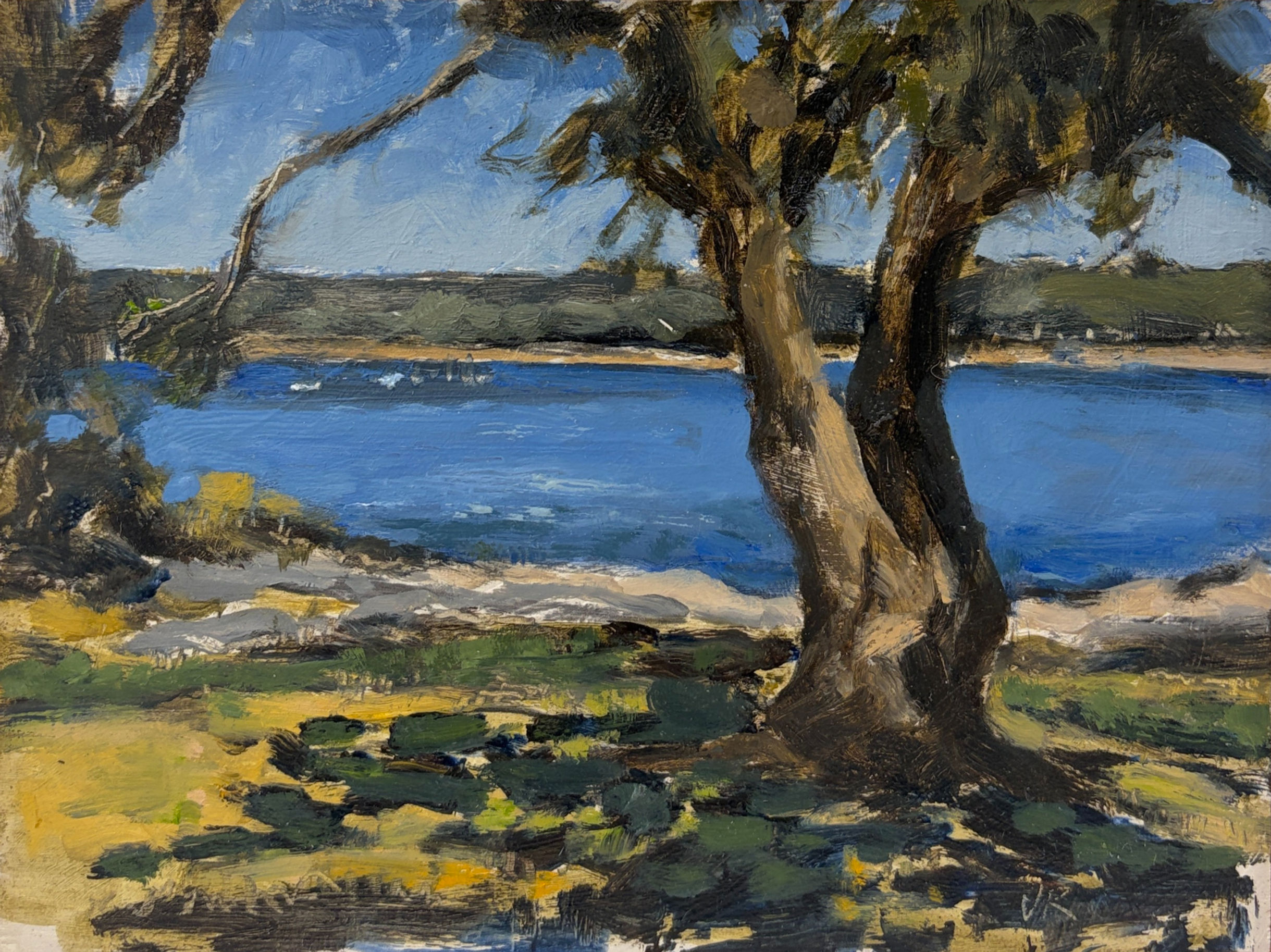 'From Rocky Point Balmoral'