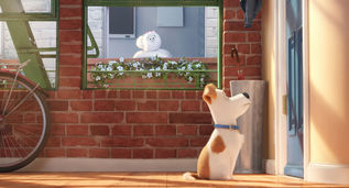 Crítica/Resenha: Pets - A vida secreta dos bichos