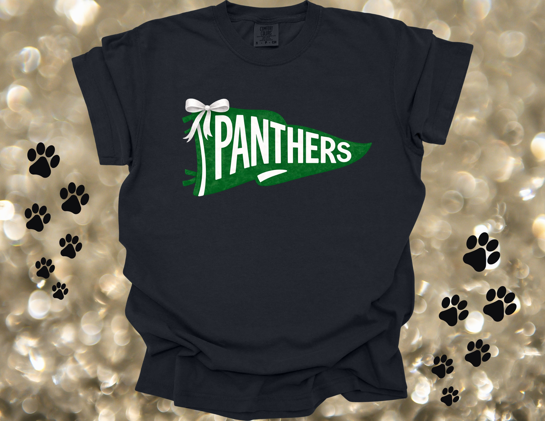 Panthers Pennant Flag T-Shirt