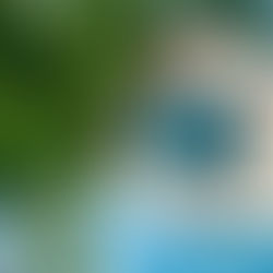 Navigating the Transition: The Banking Sector's Challenge to Phase Out Fossil Fuel Financing