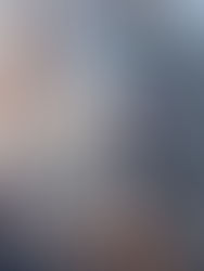 Impact of the financial markets in current times