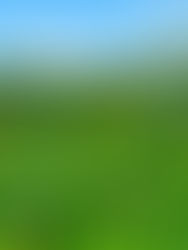 The Green Finance Gold Rush: A Double-Edged Sword for Nature