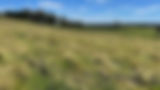 Lush green field under a blue sky, where Your Farmer’s ecological farming nurtures grass-fed meat, grown with care on a farm near me and delivered to your door.