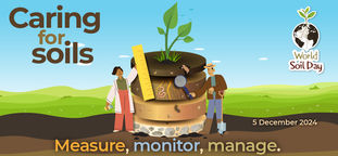Happy World Soil Day.. here's to farming healthy soil! 🧑🌾🌾