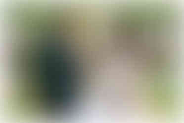 Emotional ceremony with ocean views at a tropical wedding venue in Costa Rica