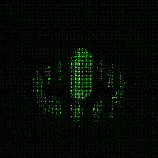 10-ezgif.com-optimize.gif