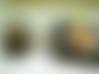 5月になりました!