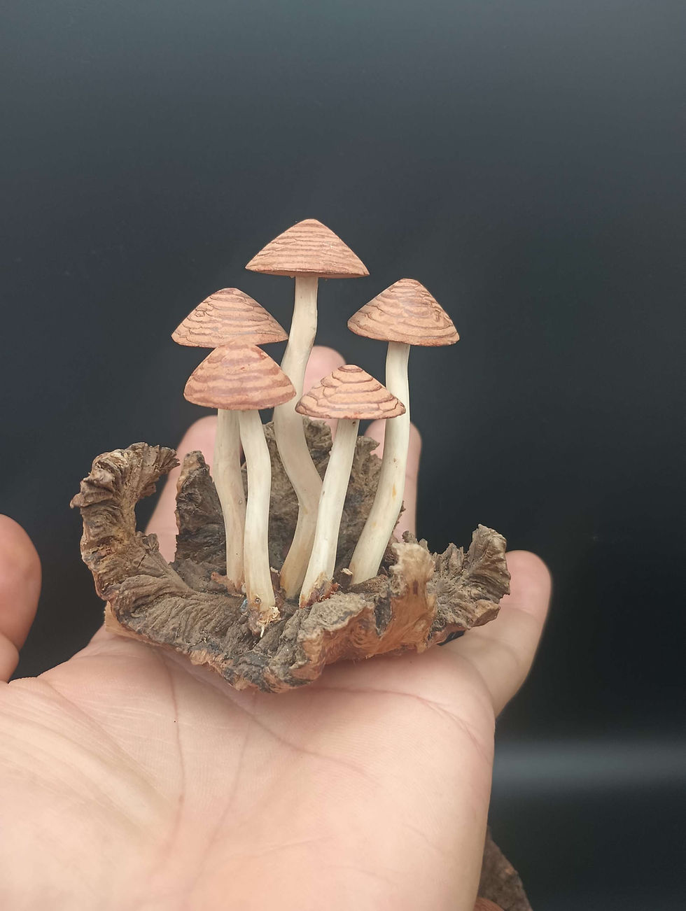 Thumbnail: Huachicle Mushrooms (small)