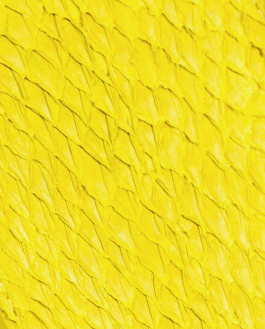 Thumbnail: Armband viđ fiskaskræđu - fleiri litir