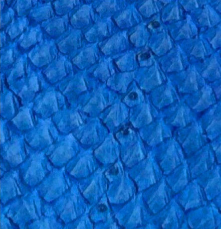 Thumbnail: Armband viđ fiskaskræđu - fleiri litir