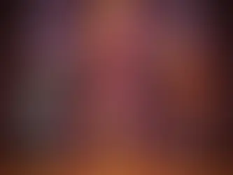 The Basics of Homeostasis: A Guide to Balancing your Body