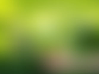 Environmental and Earth Science- What's the Connection?