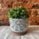Thumbnail: Large Cloud Plant Pot