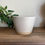 Thumbnail: Speckled White Plant Pot