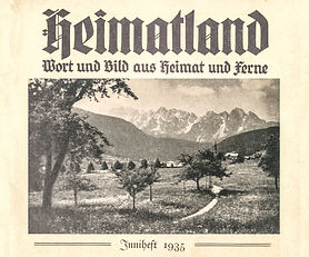 Mid-century Styled House