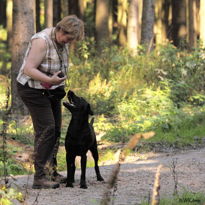 2011-09-03 D-WE 09.2011_390