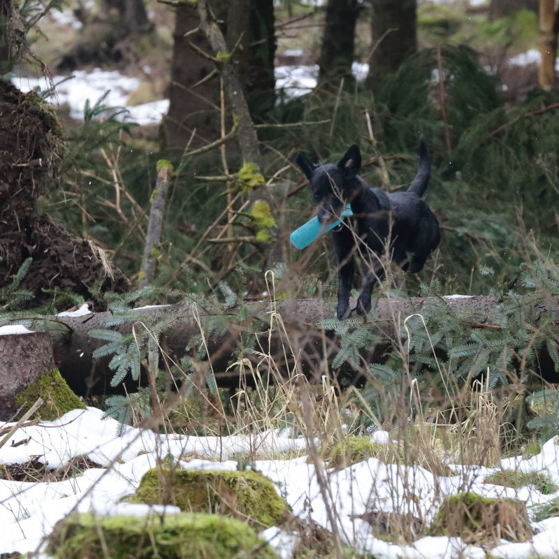 2016-03-19-5768