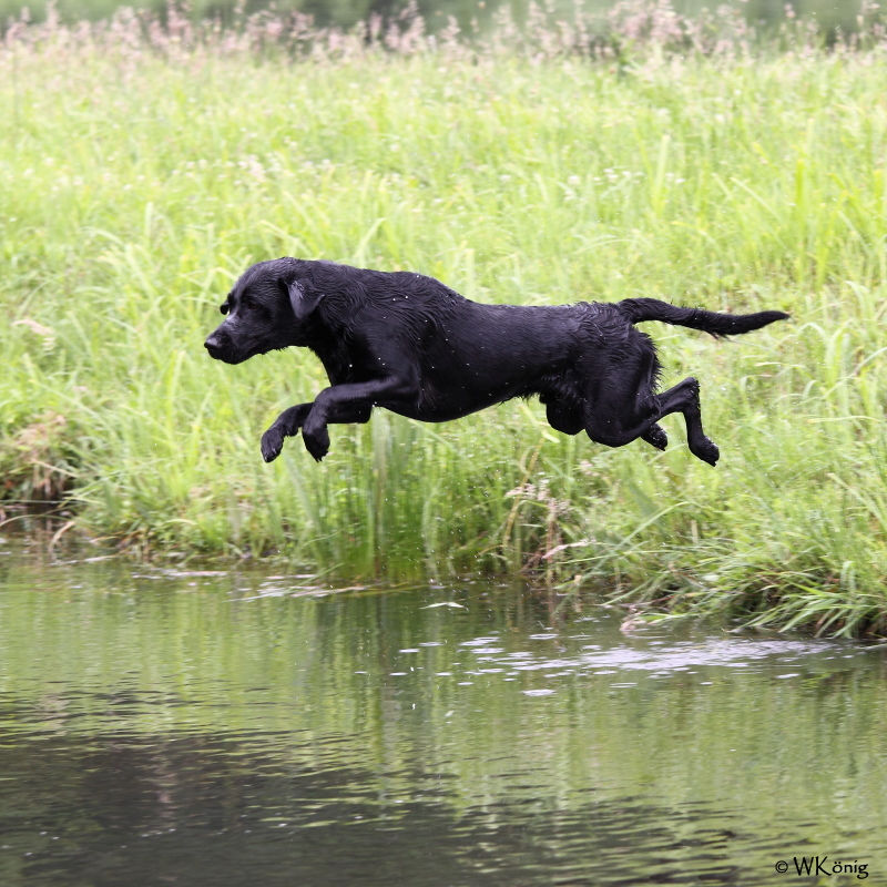 2011-06-11 Wa-Sem_405