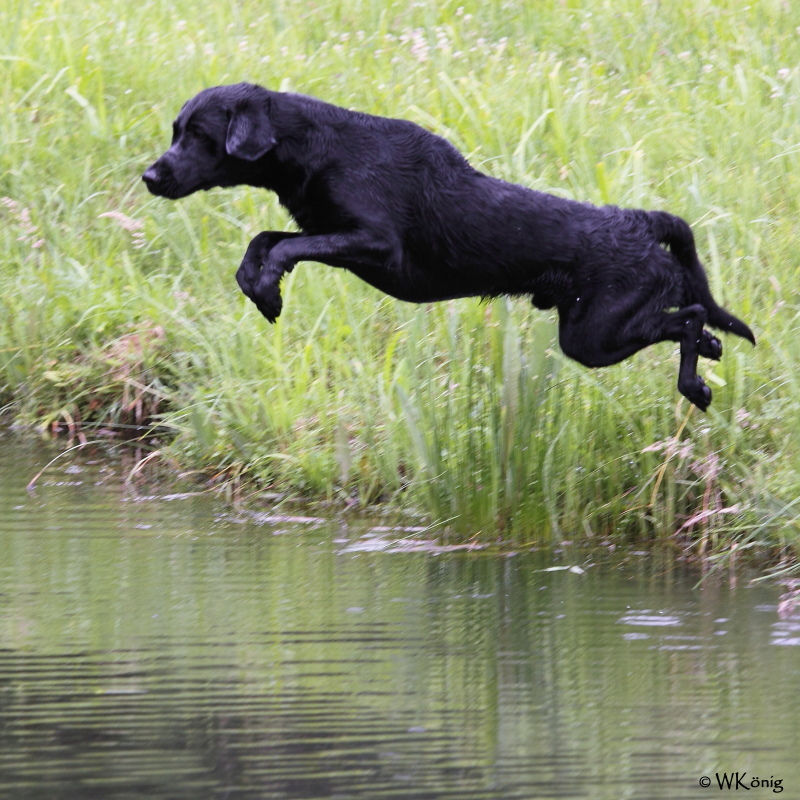 2011-06-11 Wa-Sem_394