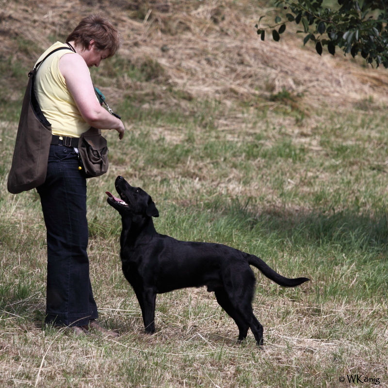 2011-07-09 Sem 07_258