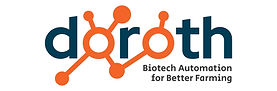 Doroth