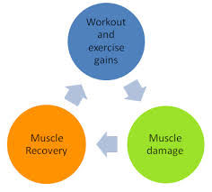 5 Ways to Faster Muscle Recovery