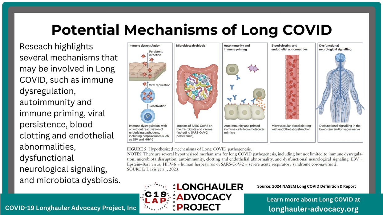 Potential Mechanisms of Long COVID