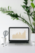 Laptop displaying business growth chart, white background, minimalist, ZZ plant on the right side; Main image by annpoan