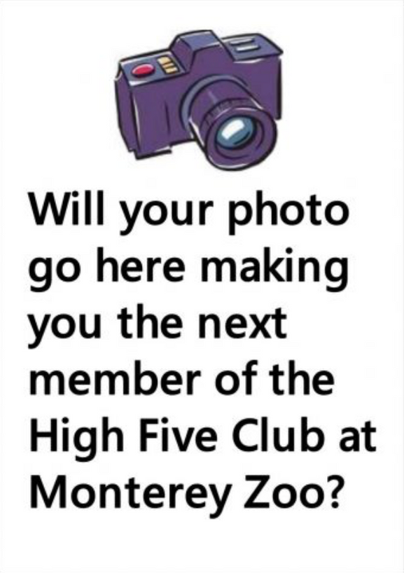 Camera graphic; Will your photo go here making you the next member of the High Five Club at Monterey Zoo?