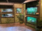 Reptiles and amphibians exhibit at Monterey Zoo