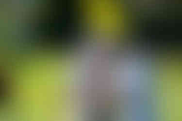 Golfers at Laguna CC celebrating