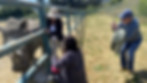 Visitors encounter rhino at Monterey Zoo