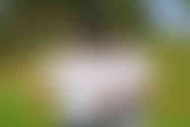 Two golfers at 7th Annual Golf Tournament, Laguna CC