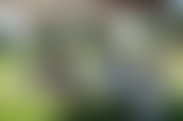 7th Annual Golf Tournament