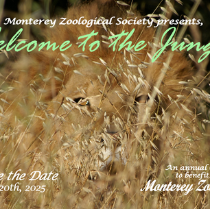 2025 Monterey Zoo Gala