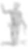 Detailed anatomical drawing: human musculature, posterior view.