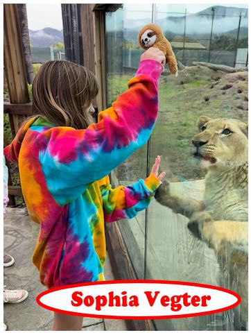Girl, Sophia Vegter, High Five with lion, holding sloth toy at Monterey Zoo
