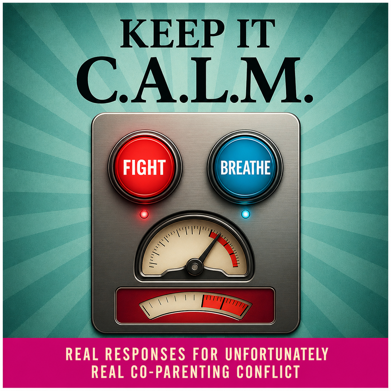 Keep it C.A.L.M. Real Responses For Unfortunately Real Co-Parenting Conflict