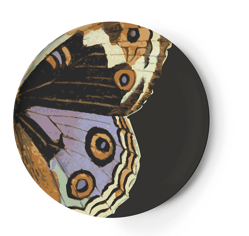 Metamorphosis Dinner Plates Set of 4