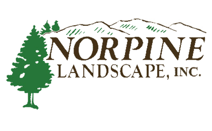 norpine-golden-for-web